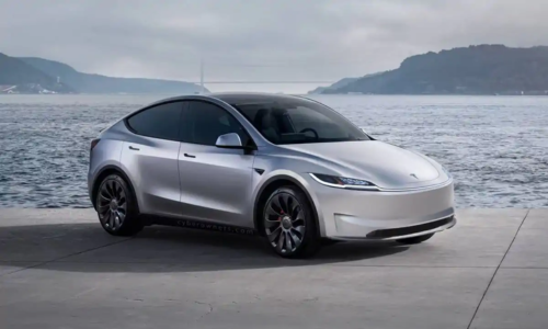 model y juniper
