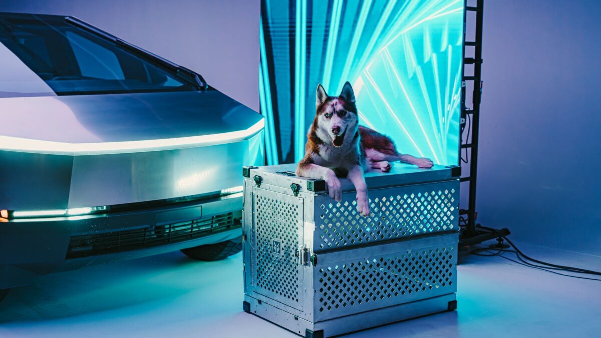 Tesla afslører muligvis ny “Cyber Speaker” i reklamevideo for sommerkollektion