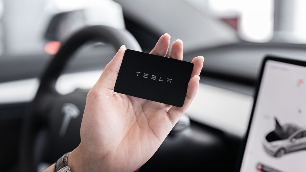 Tesla-ejere i Kina snyder FSD-overvågning med dukkehoveder