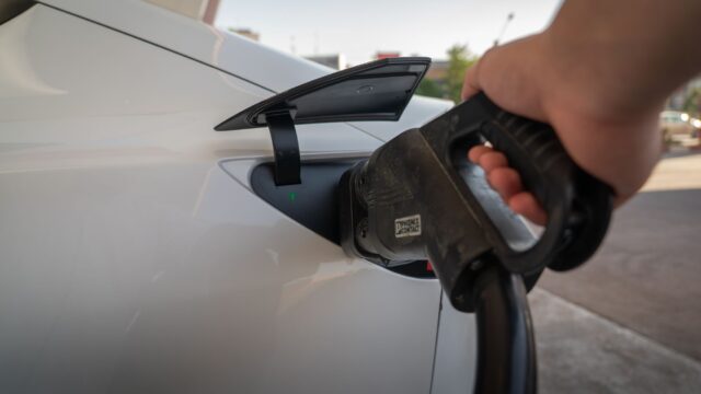 Tesla vil sælge strøm direkte til texanere – bygger kæmpe 250 MW batteri